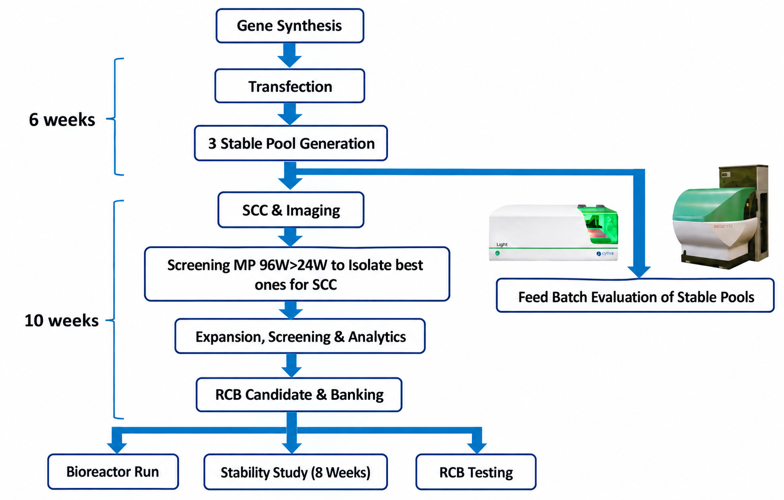 CLD Workflow