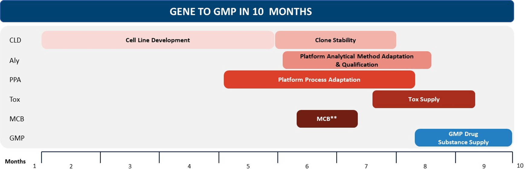 Gene to GMP